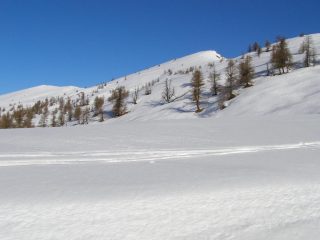 Costa Chiggia
