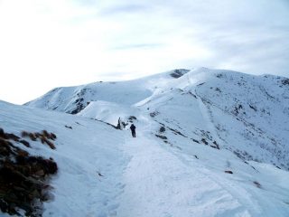 poco sopra l'intermedio