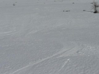 Firn da manuale  :-)