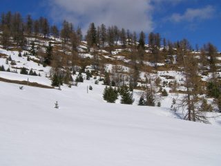 I pendii a sud poco sotto la vetta
