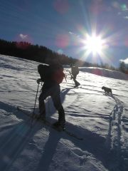 Enrico, Giordano e Nosy in salita