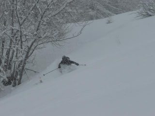 Pit in apnea nella powder  ;-)