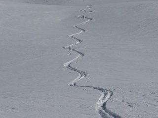 Farina nella parte alta