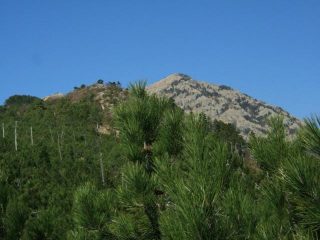 Il Monte Rama dal sentier