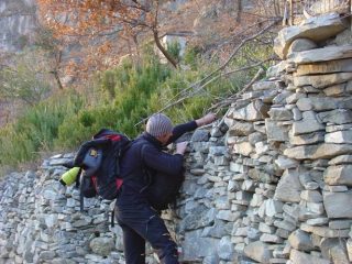 okkio ai malintenzionati che rubano il rosmarino