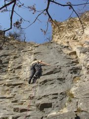 sugo su mi piace morgana