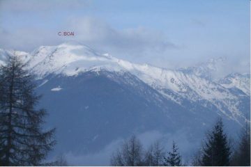 C.Boai