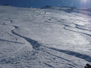 A buon intenditor...