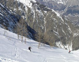 scendendo nella parte mediana
