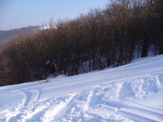 Farina nel bosco sopra il rifugio!