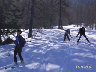 ciucchi in discesa
