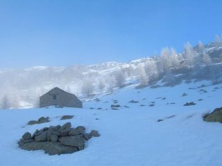 sbucando sopra alla nebbia