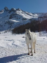La magia bucolica di Cheneil