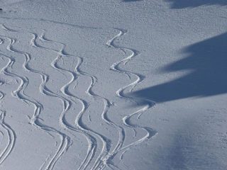 Farina della parte mediana