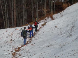 a piedi prima del bosco