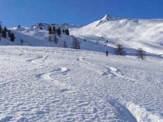 Imbocco del vallone della Dormillouse