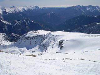 La dorsale terminale