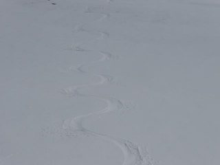 A buon intenditor... ;-)