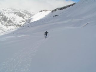 Enrico verso la fine