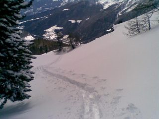 Traccia prima della dorsale finale