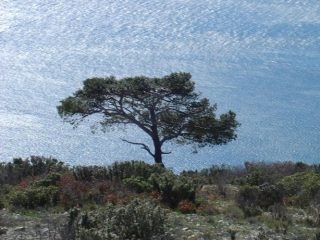 impassibile al mistral!