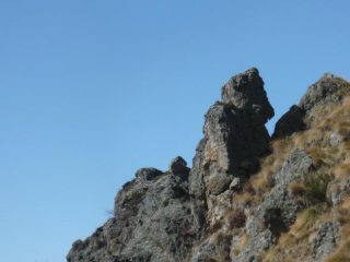 orso del vallone di codebiollo