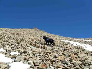 Flo verso il col Carrel