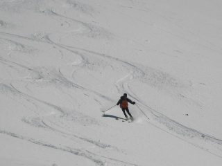 stefano pennella