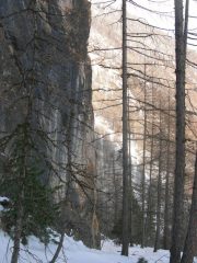 Cengia obliqua