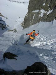 Dario dal colletto