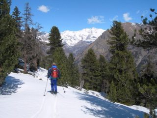 scendendo nel bosco con il Rosa
