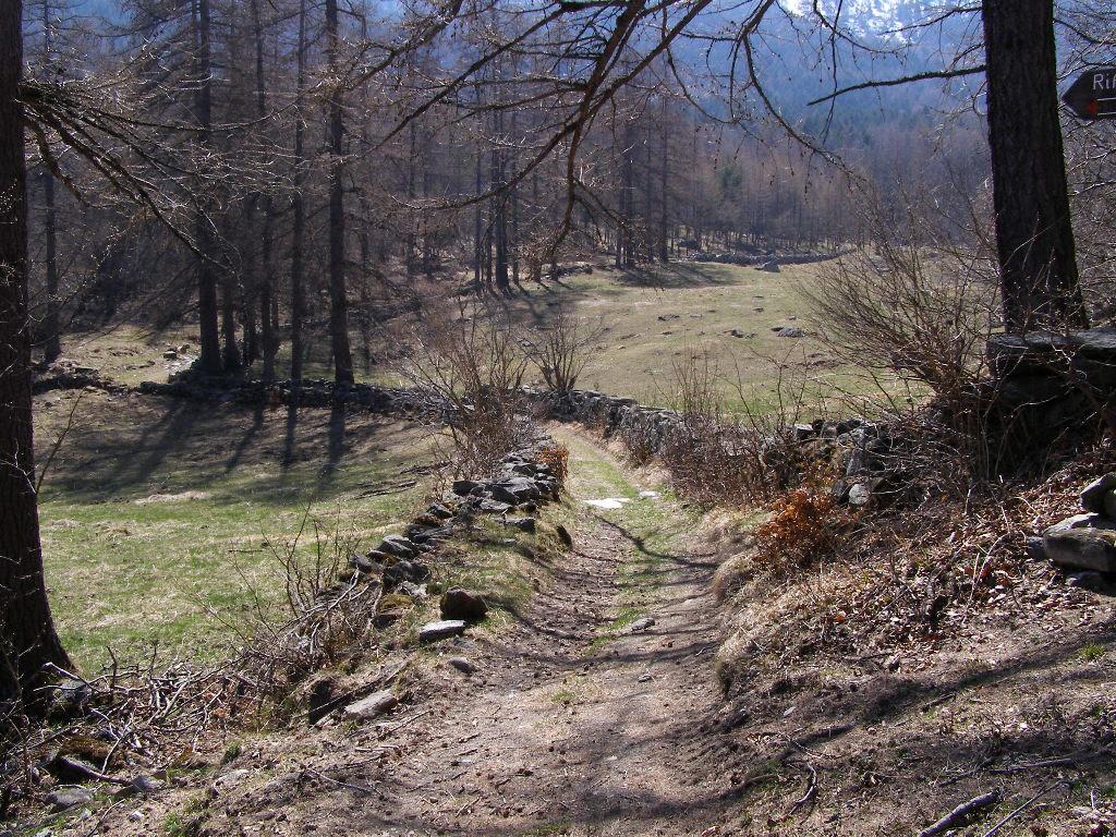 Bel sentiero verso il Rifugio Amprimo