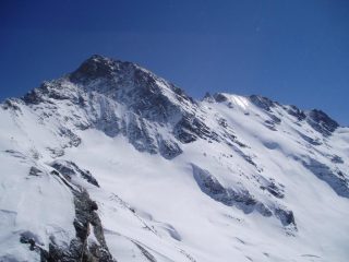 la grande rousse in primo piano