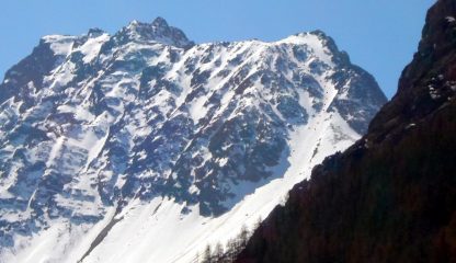PRIMAVERA DI BELLEZZA