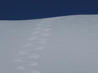 Altra farina poco più in basso ;-))