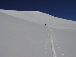 Lassù l'ometto 2826