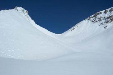 colle salè
