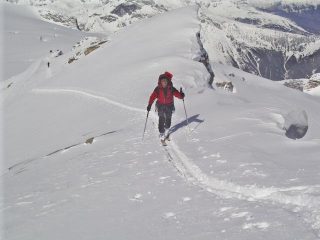 Pendii terminali lungo la cresta