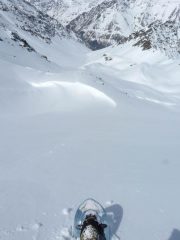 pronti per la discesa
