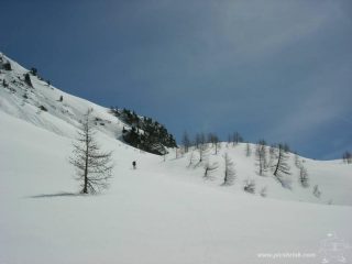 ..immacolati e intonsi..foto m.conti