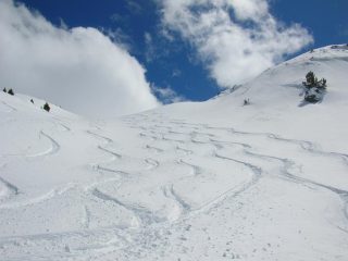 farina al 19 di aprile...