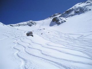 ricami ... di gruppo