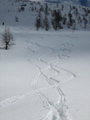 tentativi di sciata