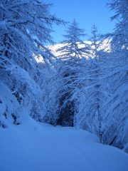 prima di arrivare a Thuras