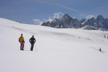 il pendio sotto forcella pradazzo, sullo sfondo le pale di san martino