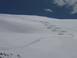 ...e di discesa ;-)))