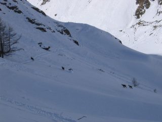 piacevole incontro