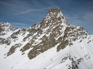 la tète de l'Homme
