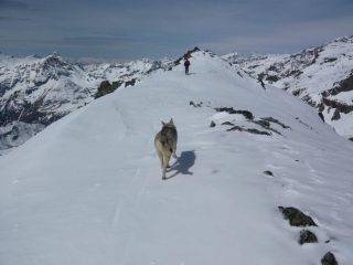 arrivo in cima al corno del camoscio
