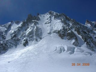 les courtes